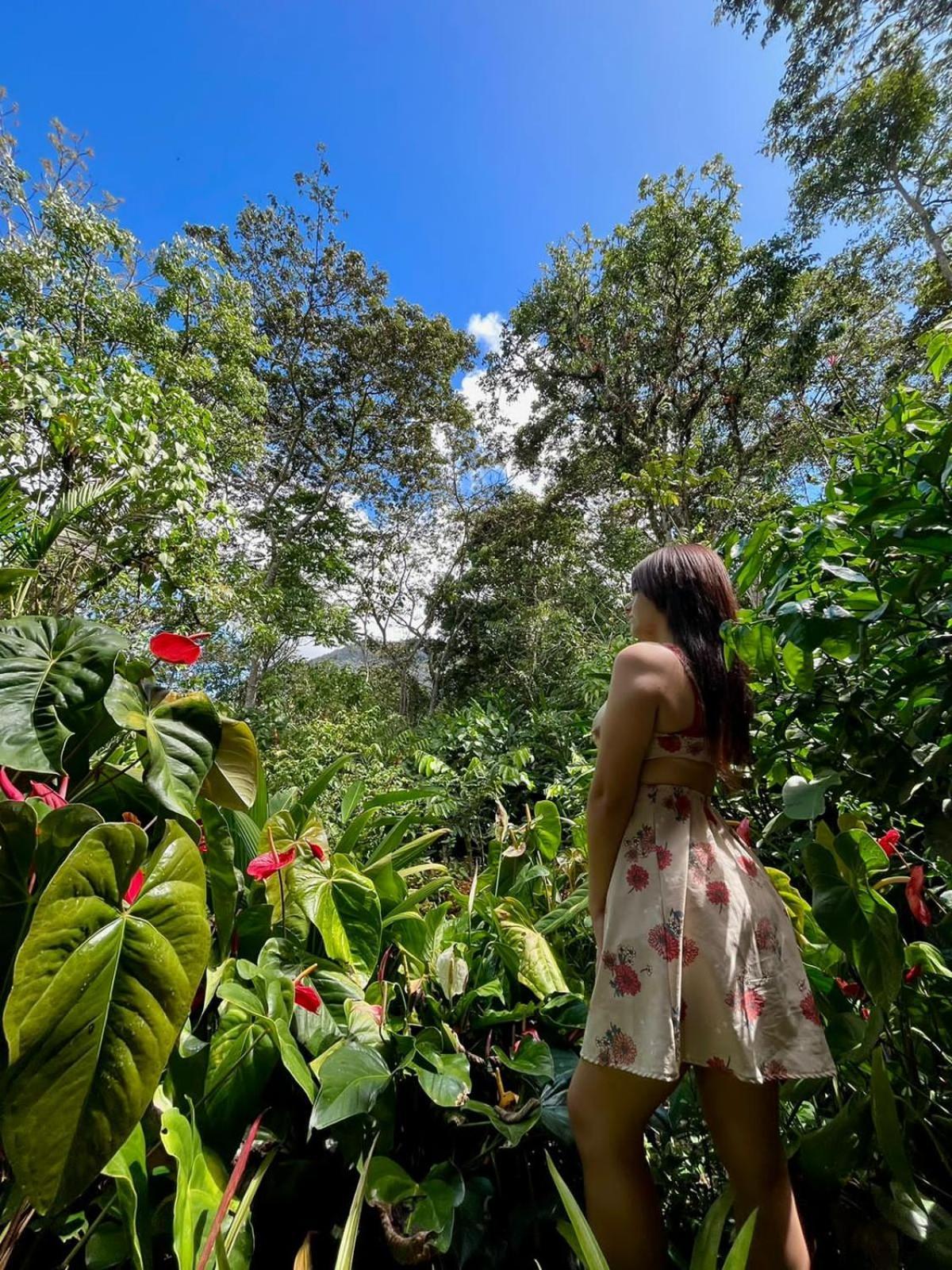 הוילה אוקסאפמפה Refugio De Orquideas מראה חיצוני תמונה