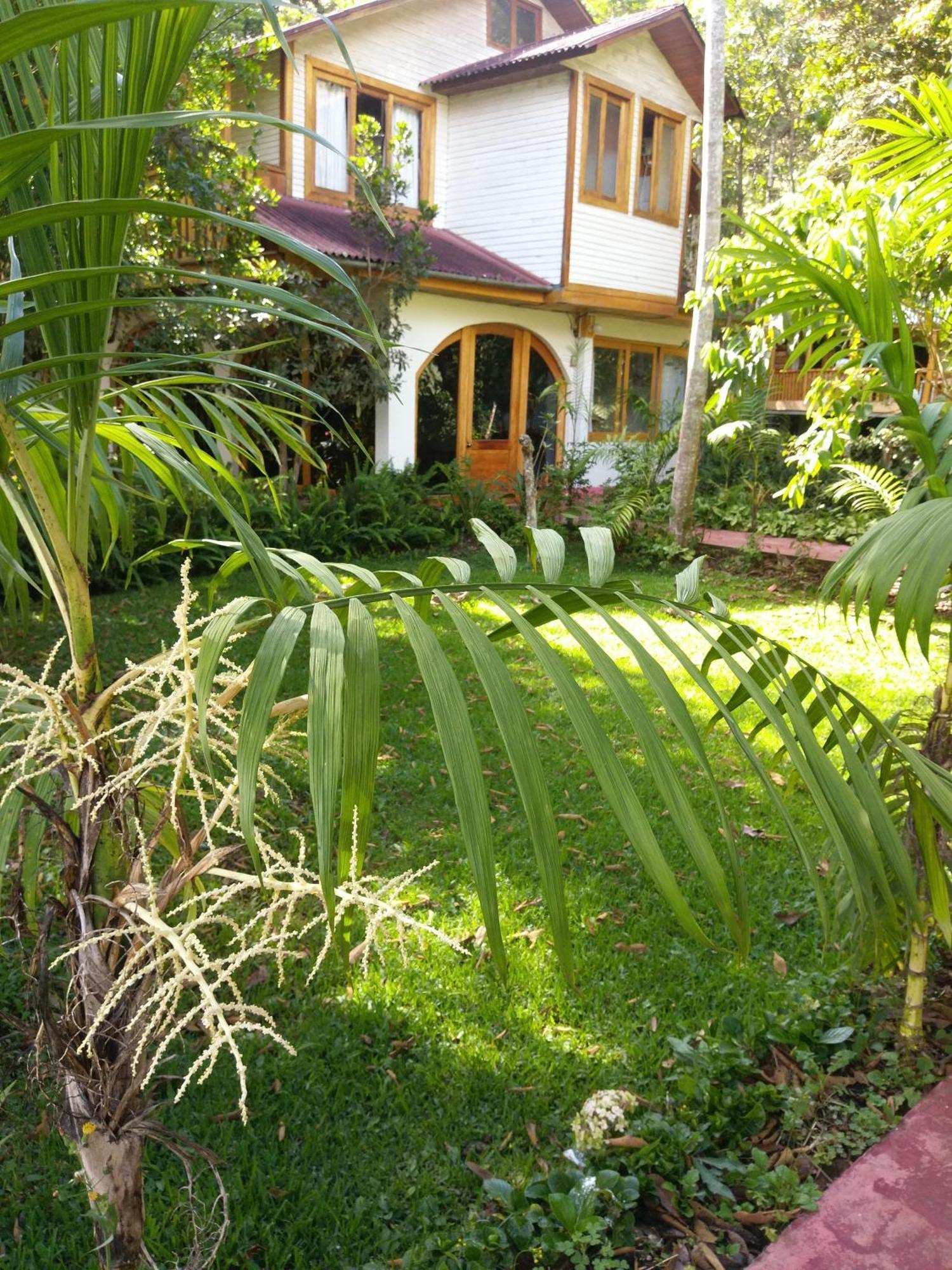 הוילה אוקסאפמפה Refugio De Orquideas מראה חיצוני תמונה