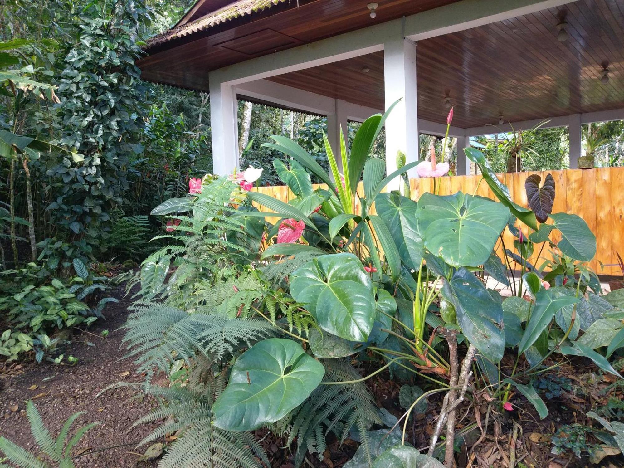 הוילה אוקסאפמפה Refugio De Orquideas מראה חיצוני תמונה