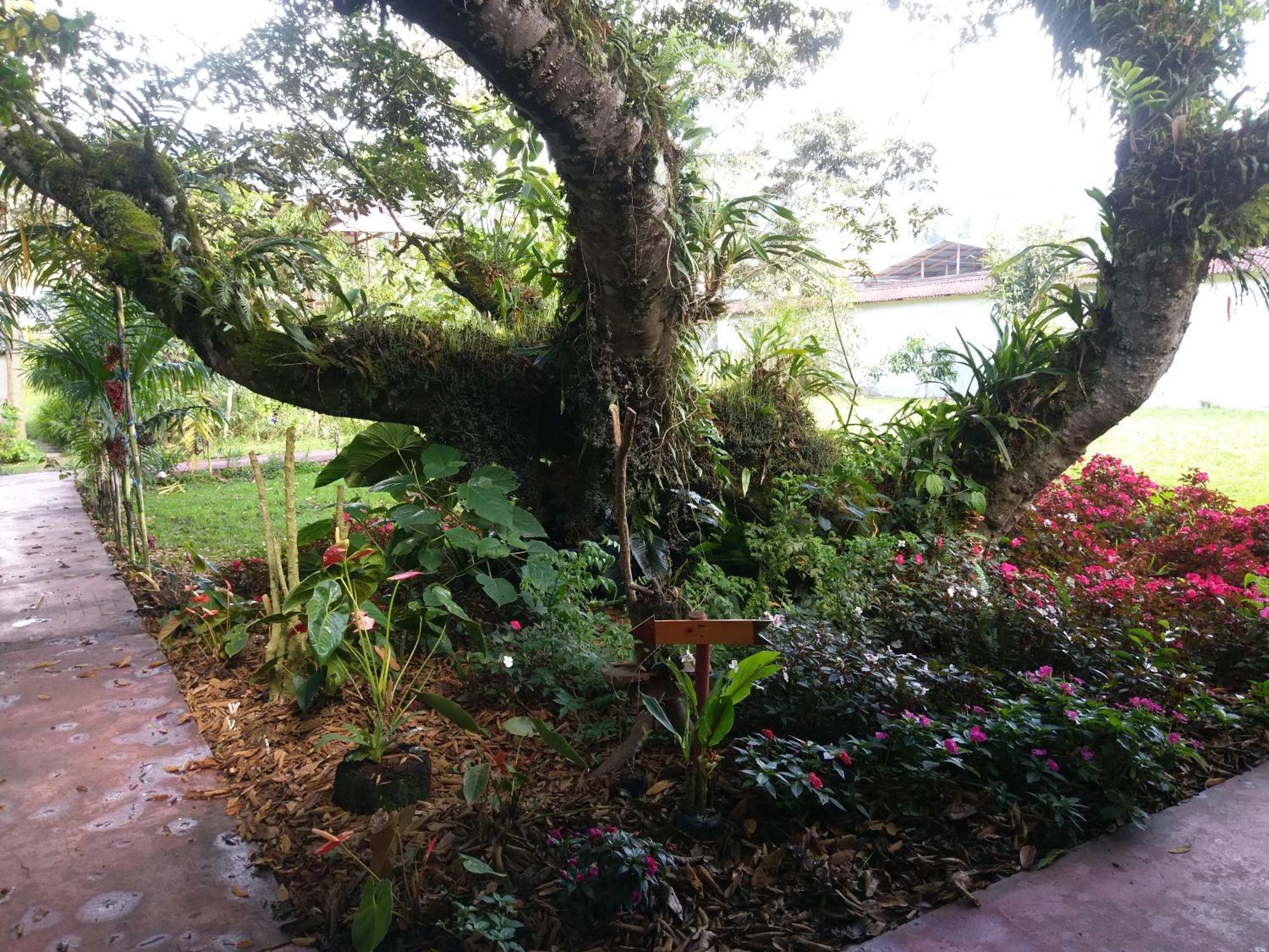 הוילה אוקסאפמפה Refugio De Orquideas מראה חיצוני תמונה