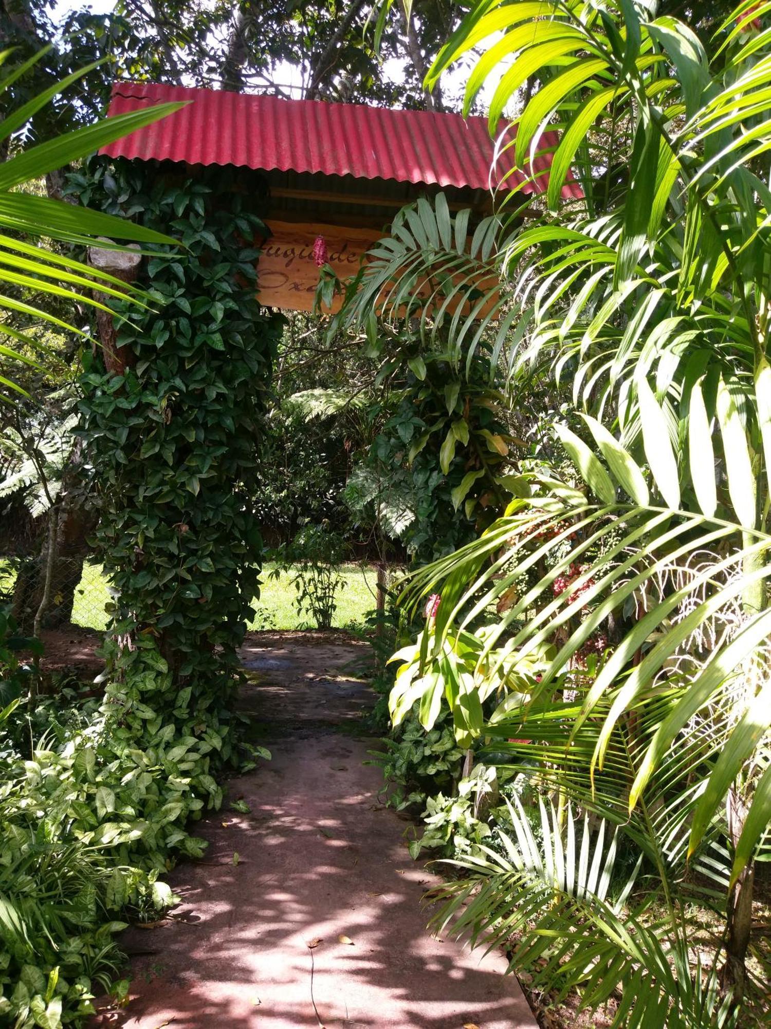 הוילה אוקסאפמפה Refugio De Orquideas מראה חיצוני תמונה