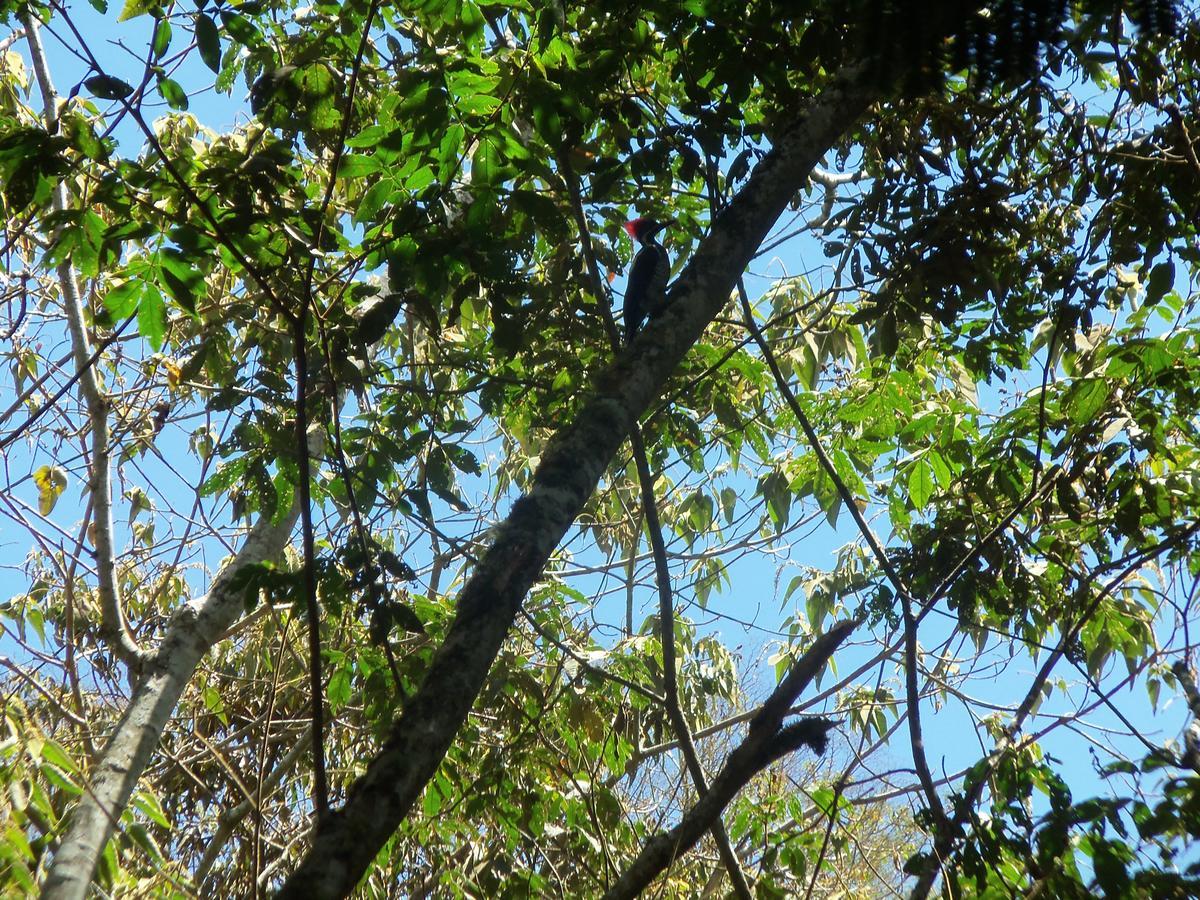 הוילה אוקסאפמפה Refugio De Orquideas מראה חיצוני תמונה