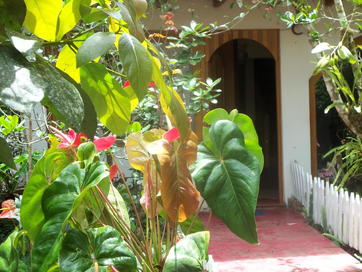 הוילה אוקסאפמפה Refugio De Orquideas מראה חיצוני תמונה